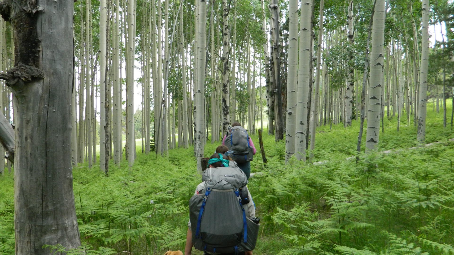 Hike